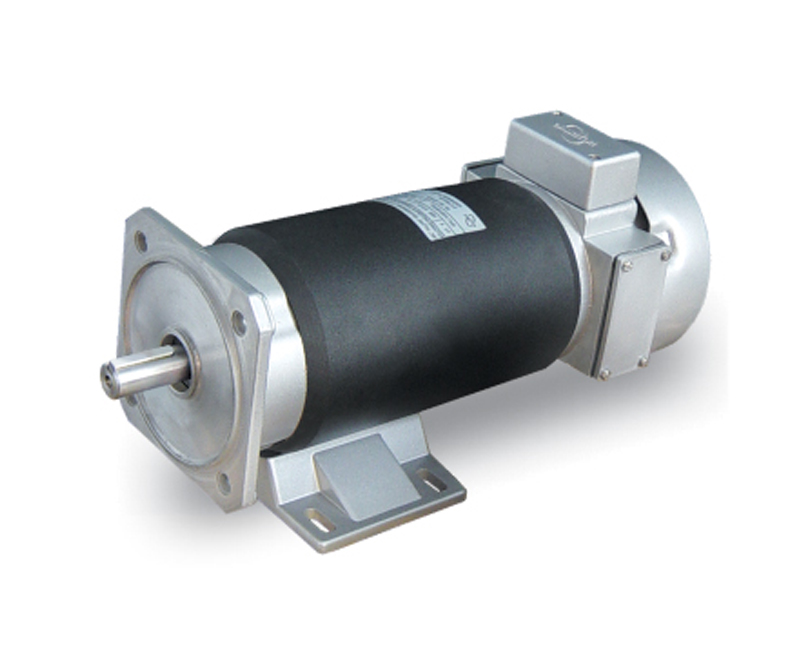 Rotomag PMDC Motors